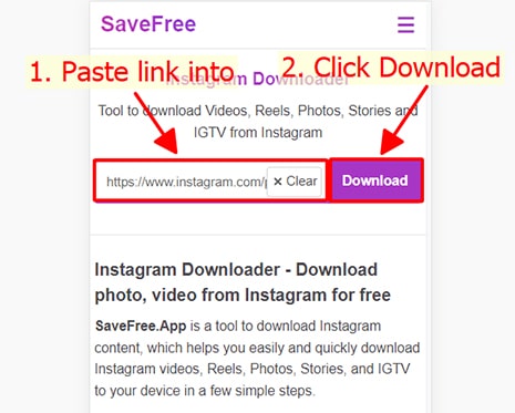 Paste the Instagram URL into the input field on Save-Free and press the <strong>Download</strong> button.