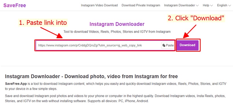 Paste the Instagram URL into Save-Free